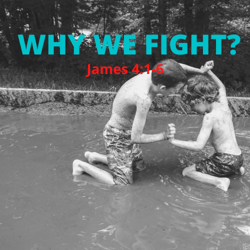 Why We Fight?