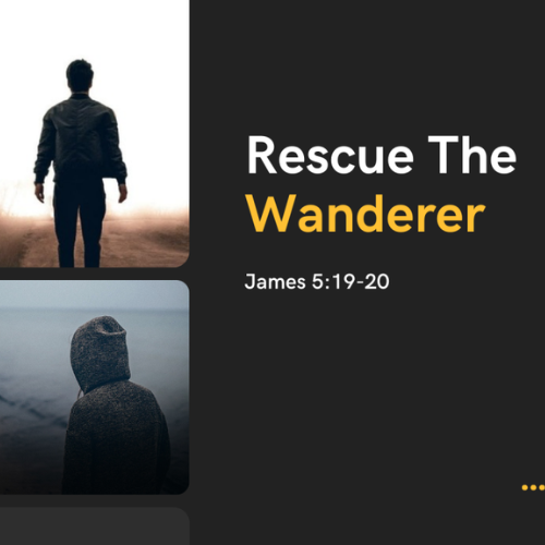Rescue the Wanderer