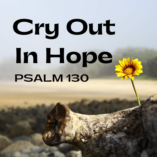 Cry Out in Hope