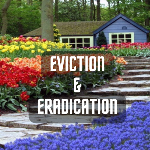 Eviction & Eradication