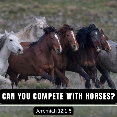 Can You Compete with Horses?