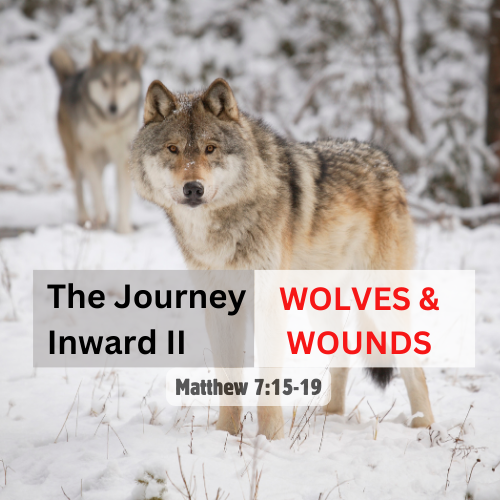The Journey Inward II – Wolves & Wound