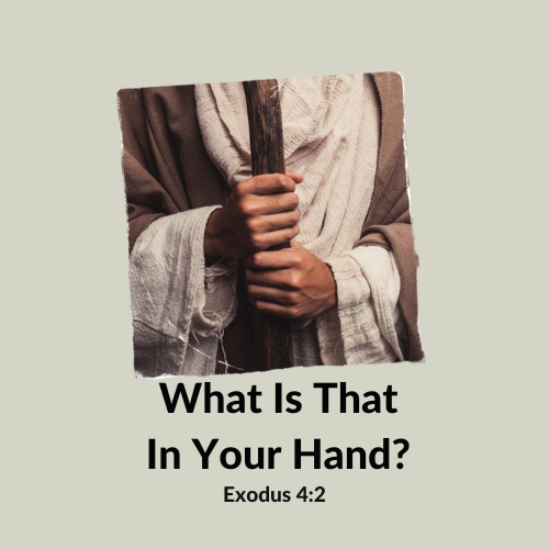 What is that in your hand?