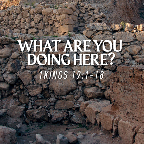 What Are You Doing Here?