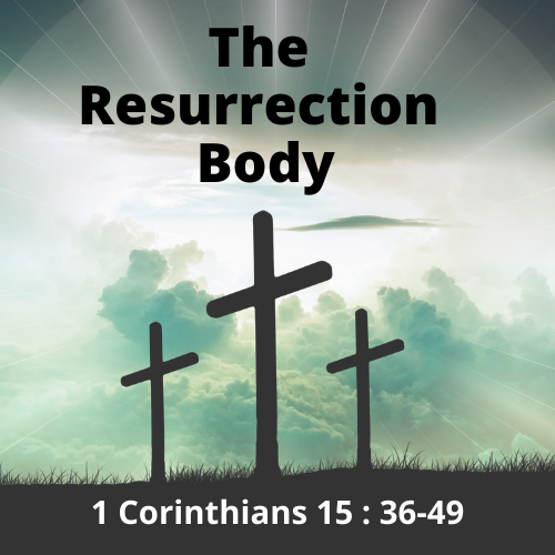 The Resurrection Body