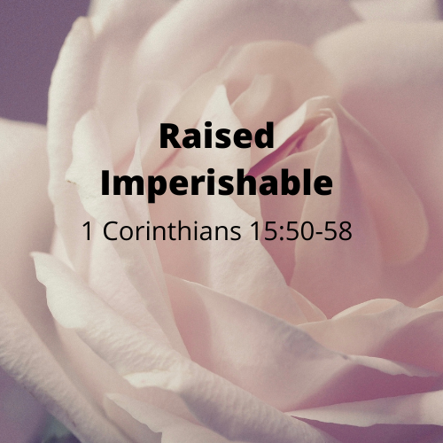 Raised Imperishable