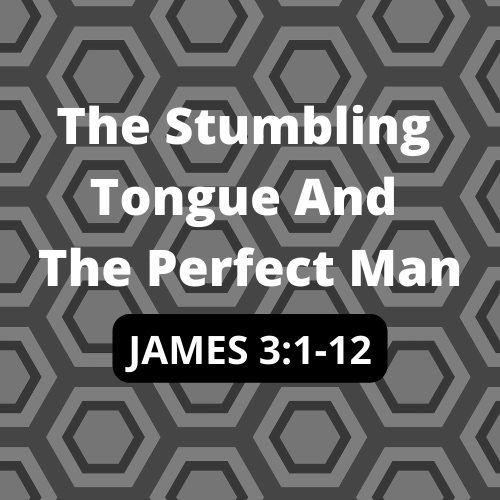 The Stumbling Tongue and the Perfect Man
