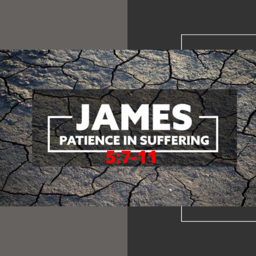 Patience in Suffering