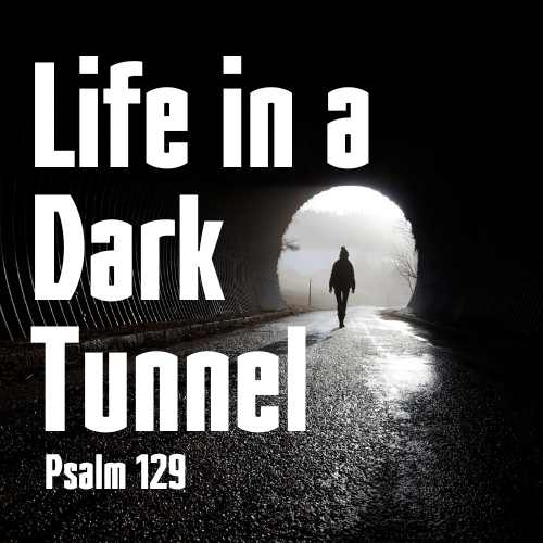 Life in a Dark Tunnel