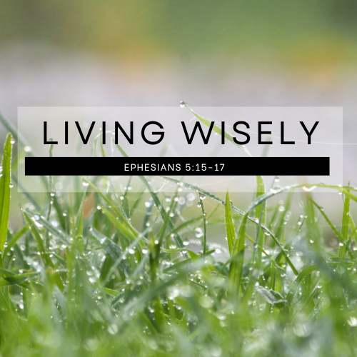 Living Wisely