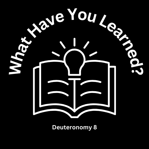 What Have You Learned?