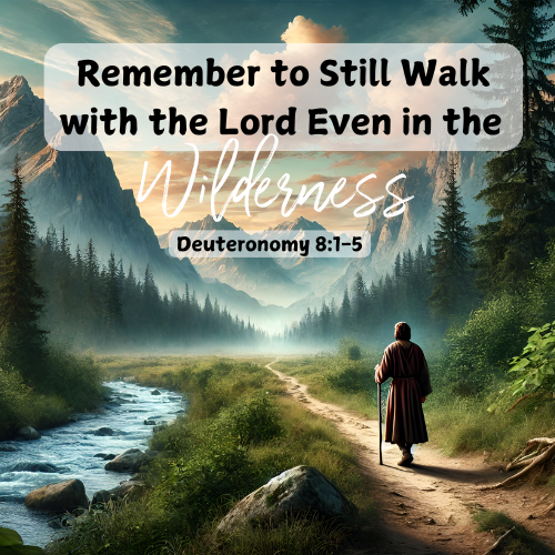 Remember to Still Walk with the Lord Even in the Wilderness
