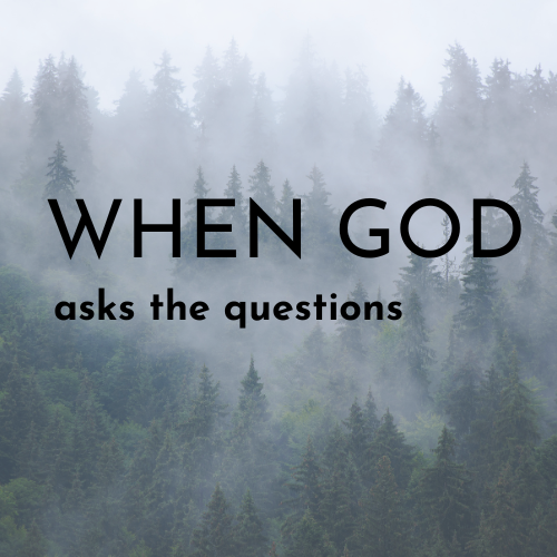 When God asks the Questions