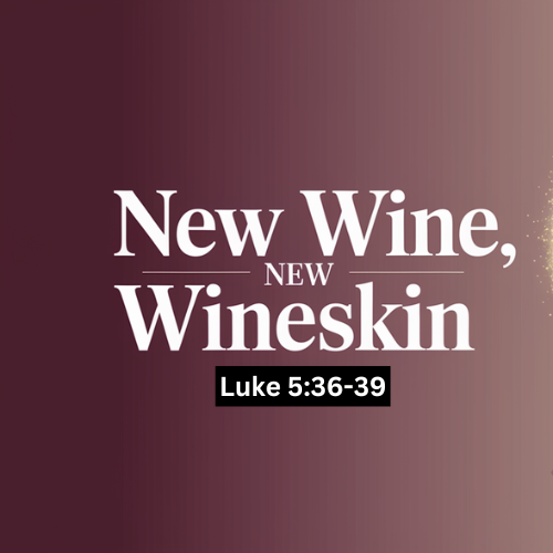 New Wing, New Winskine