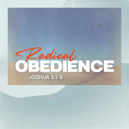 Radical Obedience
